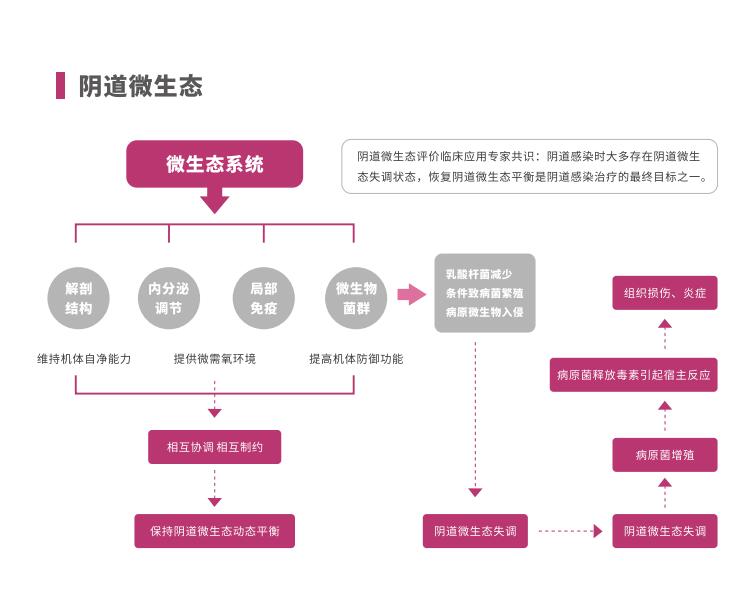 全自动阴道炎污app下载安装LTS-V400阴道微生态系统